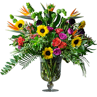 Nature\'s Blessings