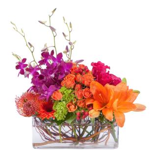 Summer Flowers