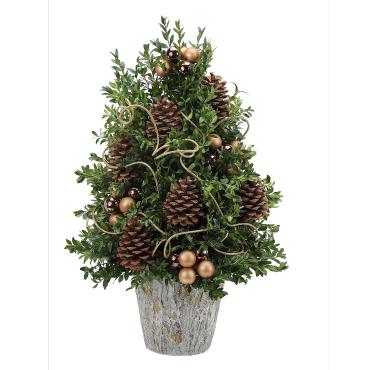 Boxwood Supreme