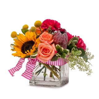 International Womens\' Day