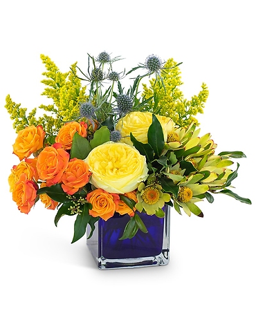 Bloom with Brilliance