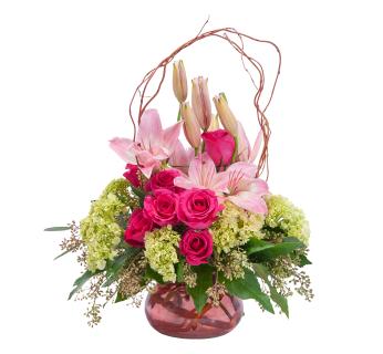 Oh, So Beautiful Blooms