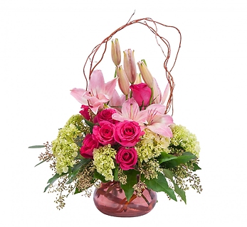 Oh, So Beautiful Blooms