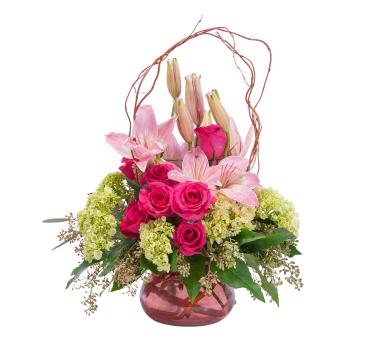 Oh, So Beautiful Blooms