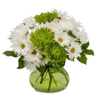 St Patrick\'s Day