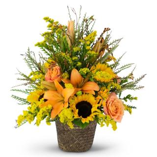 Fall Flowers
