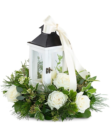 Illuminated with Joy