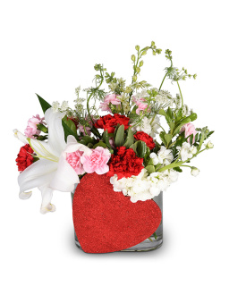 Lily n\' Lace