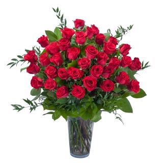 Room Full of Roses