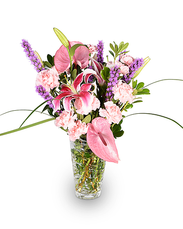 Tropical Lily Garden