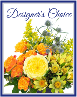 Designer\'s Choice