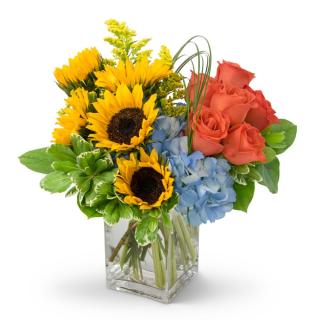 Father\'s Day