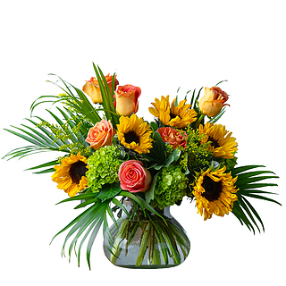 Sunflower Kiss