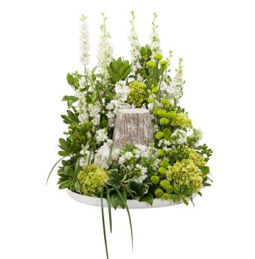 Elegance Surround