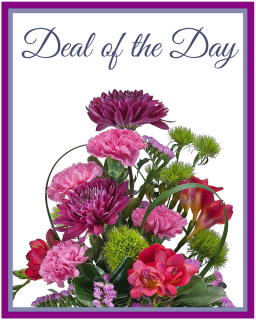 Deal of the Day