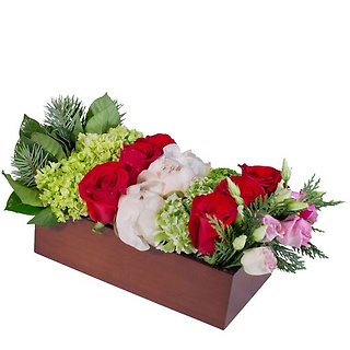 Toni\'s Treasure Box