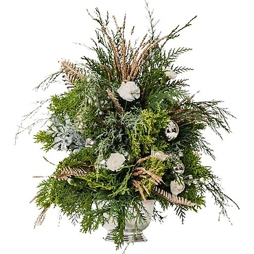 Wrapped up in Fir