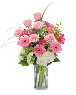 Pink Petals