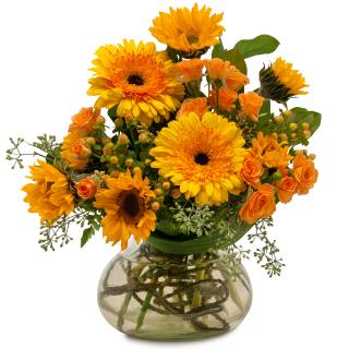 Sunflower Delight